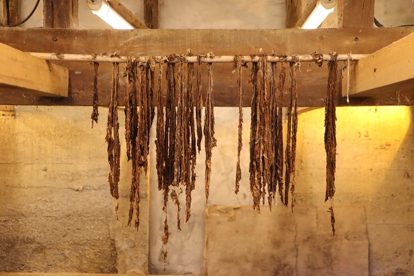 花蓮鳳林。徐穗堆廖快菸樓 大阪式菸樓 x 客家風味餐、香蒜豬腳、長豆干排骨湯