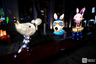 【遊記】2020台北燈節 (11)