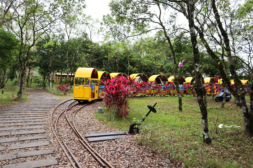 富興社區森林小火車