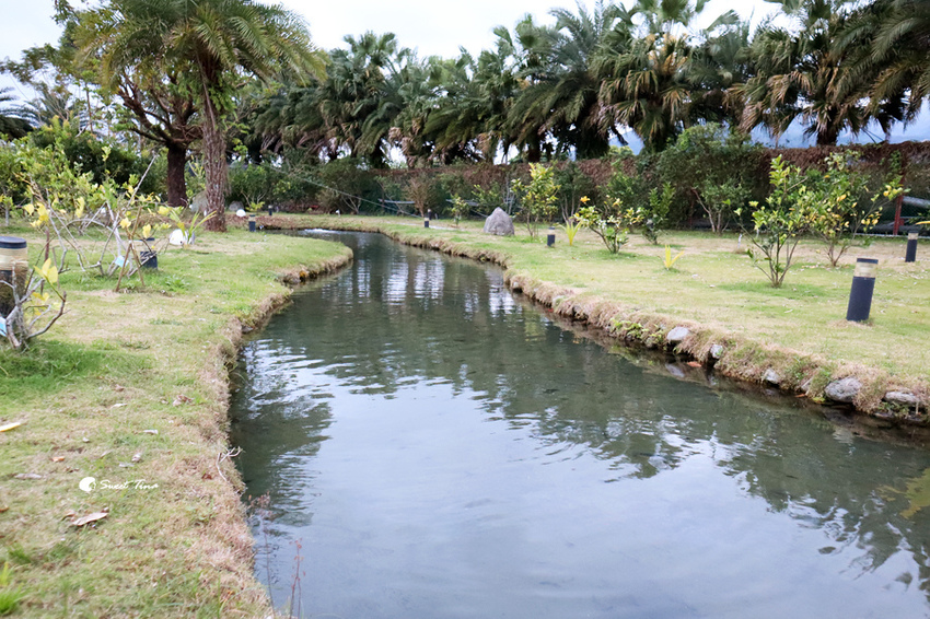 瑞穗棕櫚湖民宿