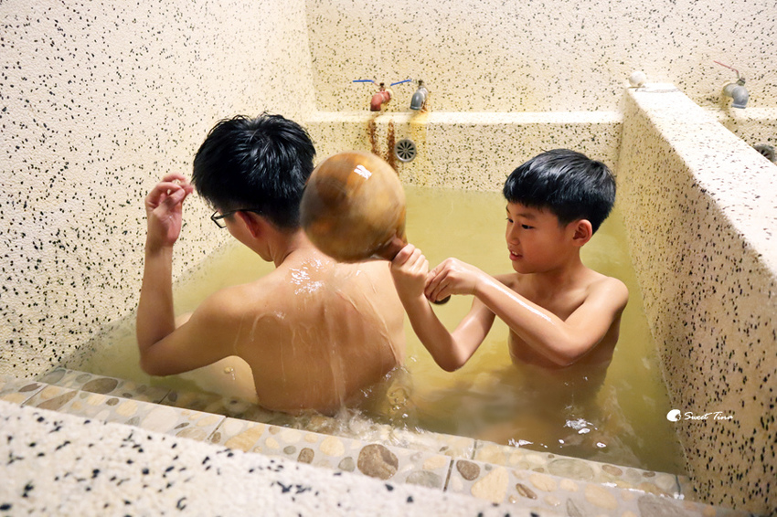 瑞穗棕櫚湖民宿