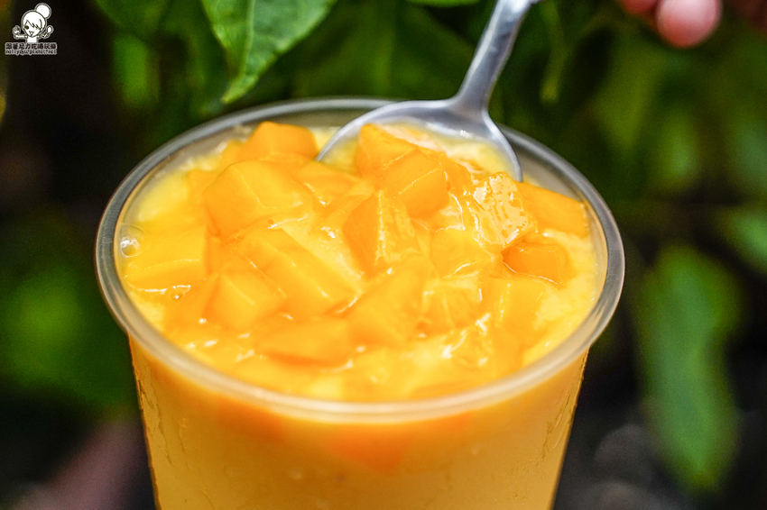 超芒爆料 愛文芒果冰沙 Double Double、愛文芒果冰沙,夏日首選必喝大苑子 四倍量芒果飲品 - 跟著尼力吃喝玩樂&親子生活