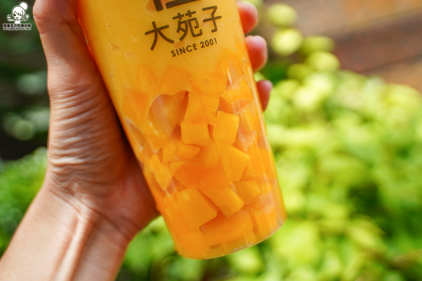 大苑子 愛文 冰沙 芒果 飲料 手搖 必喝 全台 最狂 大苑子 愛文 冰沙 芒果 飲料 手搖 必喝 全台 最狂