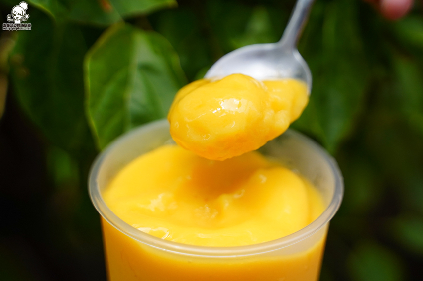 大苑子 愛文 冰沙 芒果 飲料 手搖 必喝 全台 最狂 大苑子 愛文 冰沙 芒果 飲料 手搖 必喝 全台 最狂