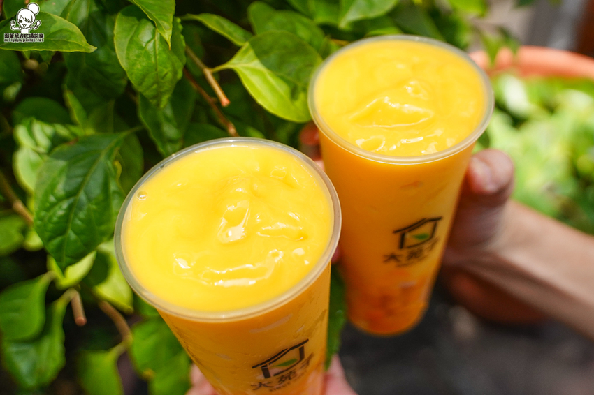 大苑子 愛文 冰沙 芒果 飲料 手搖 必喝 全台 最狂 大苑子 愛文 冰沙 芒果 飲料 手搖 必喝 全台 最狂