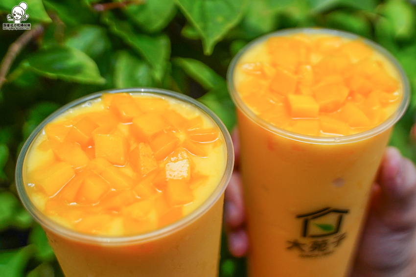超芒爆料 愛文芒果冰沙 Double Double、愛文芒果冰沙,夏日首選必喝大苑子 四倍量芒果飲品 - 跟著尼力吃喝玩樂&親子生活