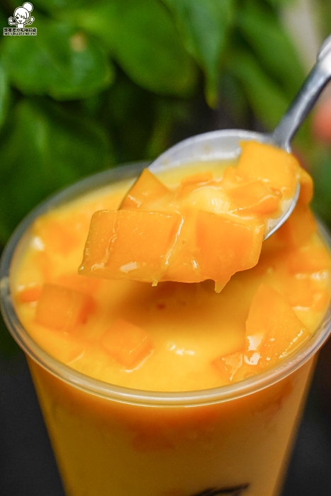 大苑子 愛文 冰沙 芒果 飲料 手搖 必喝 全台 最狂 大苑子 愛文 冰沙 芒果 飲料 手搖 必喝 全台 最狂