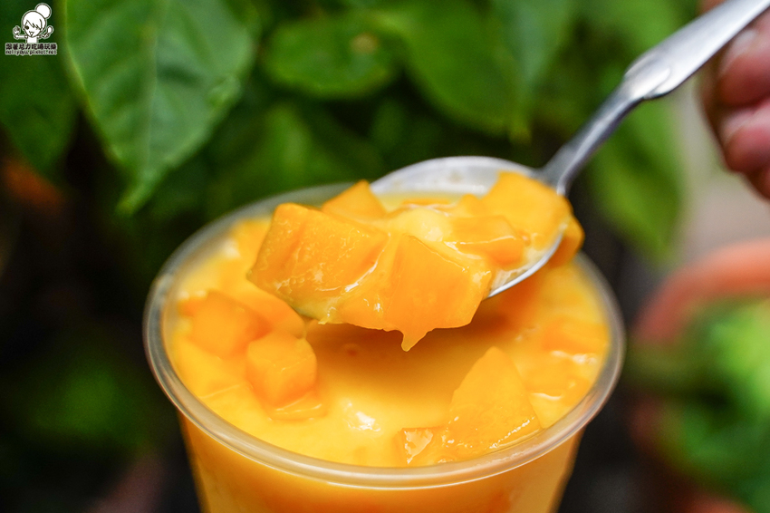 大苑子 愛文 冰沙 芒果 飲料 手搖 必喝 全台 最狂 大苑子 愛文 冰沙 芒果 飲料 手搖 必喝 全台 最狂