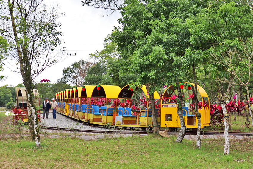 富興社區森林小火車