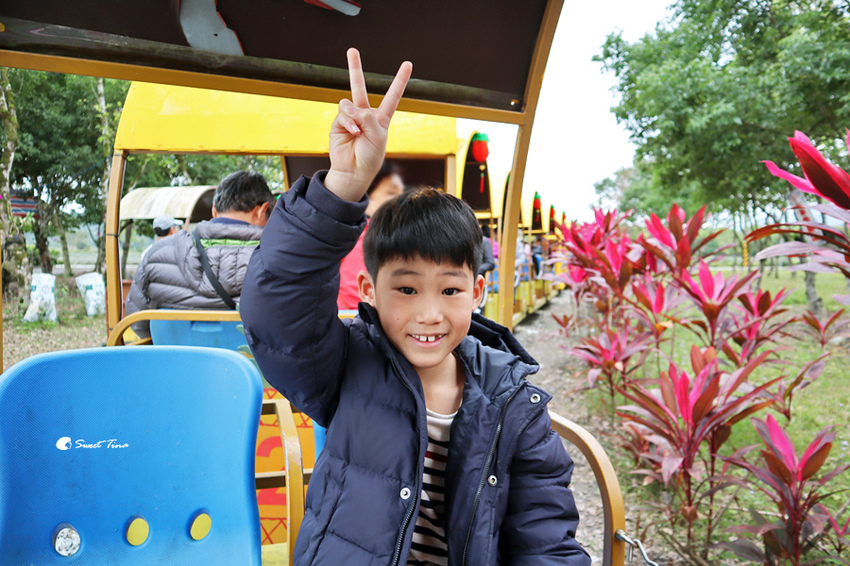 富興社區森林小火車