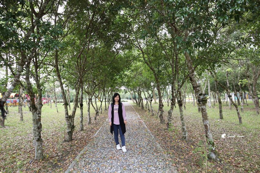 富興社區森林小火車