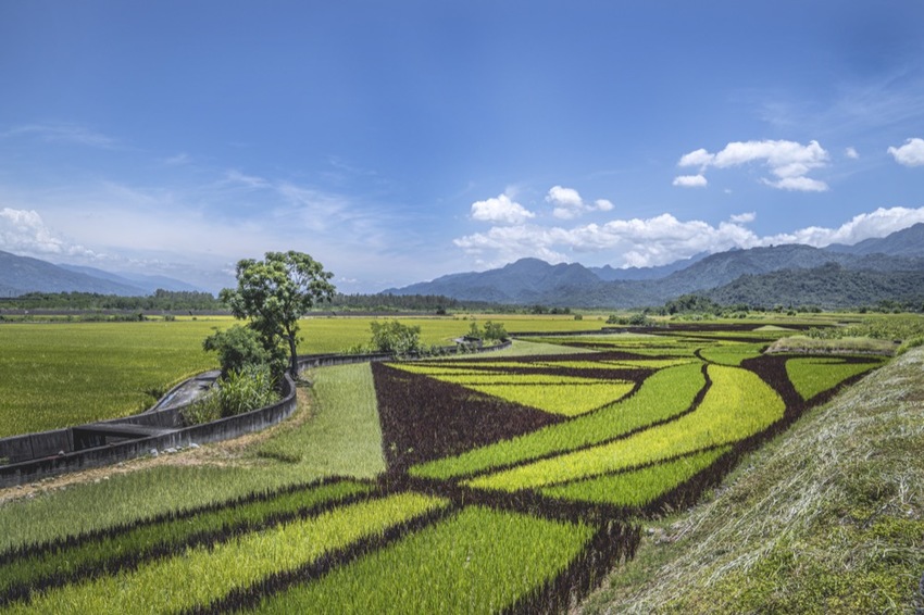 花蓮 三天兩夜|瑞穗玉里伴手禮推薦,蜜香紅茶禮盒、米麻糬、柚皮糖必買,「黃金湯」小木屋溫泉CP值超高! · 算命的說我很愛吃