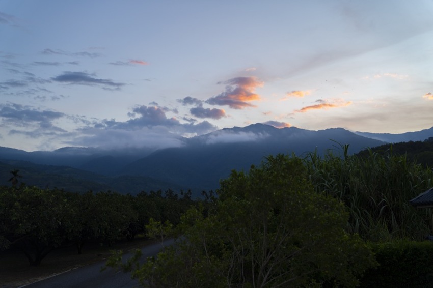 花蓮 三天兩夜|瑞穗玉里伴手禮推薦,蜜香紅茶禮盒、米麻糬、柚皮糖必買,「黃金湯」小木屋溫泉CP值超高! · 算命的說我很愛吃