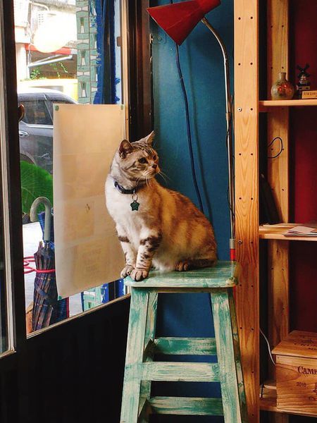 83291532_10219629481902982_364174163973242880_n.jpg 83291532_10219629481902982_364174163973242880_n.jpg