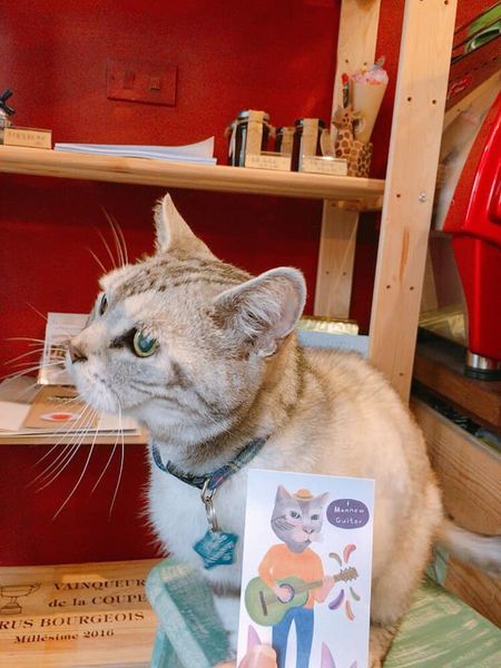 83762458_10219629494663301_4956338271845089280_n.jpg 83762458_10219629494663301_4956338271845089280_n.jpg