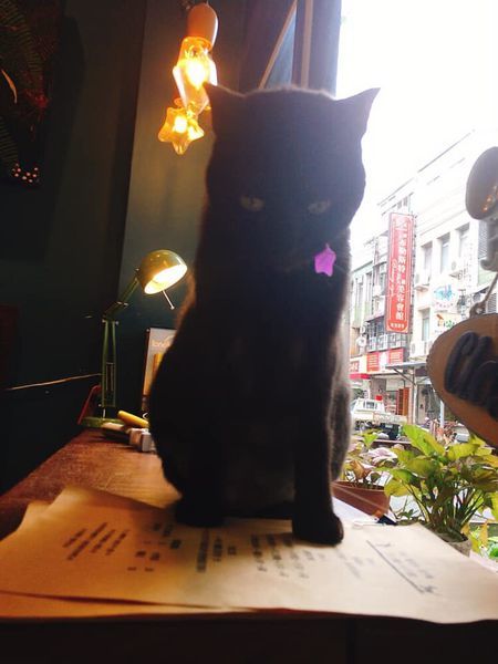 82558592_10219629481102962_5342795318855467008_n.jpg 82558592_10219629481102962_5342795318855467008_n.jpg