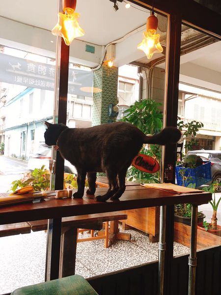 83799232_10219629481622975_725554851152396288_n.jpg 83799232_10219629481622975_725554851152396288_n.jpg