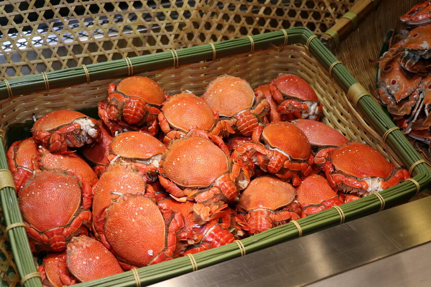 跨國界精緻料理Buffet這裡吃.周末還有加碼北海道帝王蟹味噌湯和現煎安格斯黑牛排吃到飽.台北寒舍艾美酒店♥