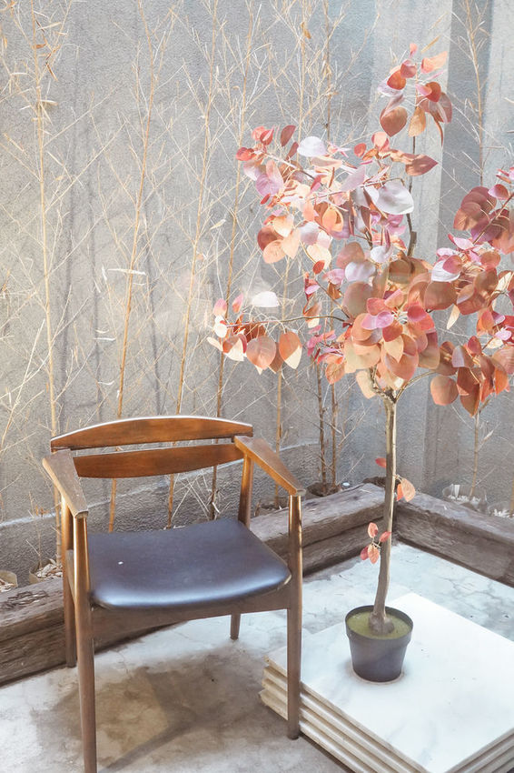 台南中西區美食 熨斗目花珈琲 珈哩 cafe WUDAO 老宅文青建築享用咖哩 水炊鍋物 甜點下午茶 網美風餐廳20.jpg