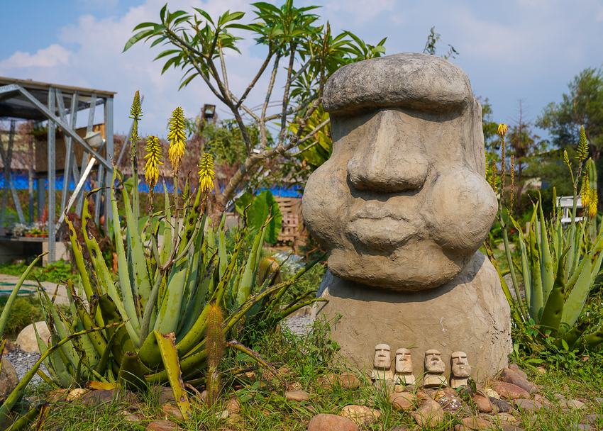 [高雄]肉肉栽培研究所-多肉植物主題景觀咖啡廳~跟摩艾一起嘟嘴賣萌 - 美食好芃友