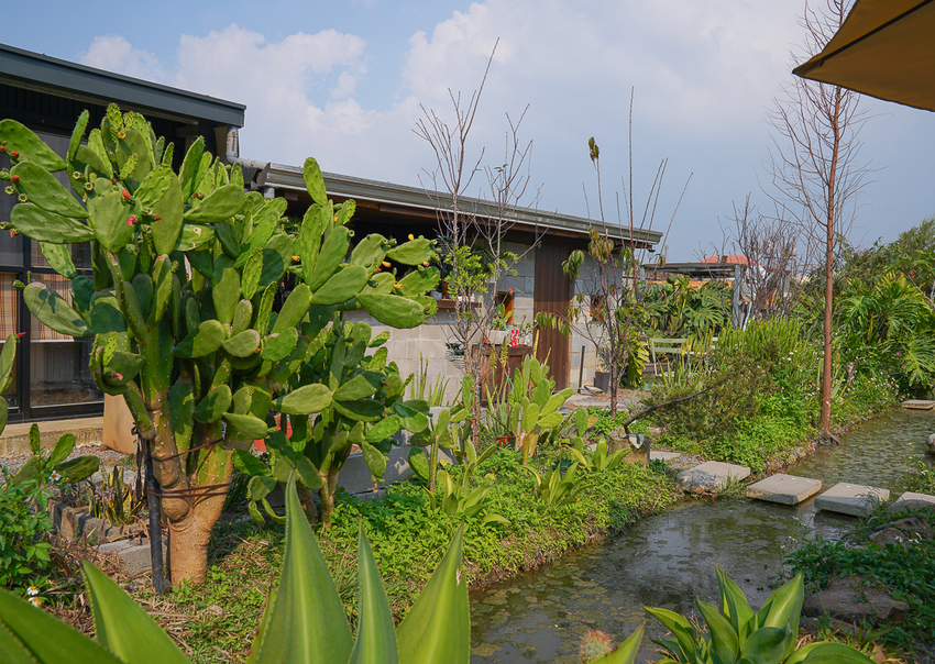 [高雄]肉肉栽培研究所-多肉植物主題景觀咖啡廳~跟摩艾一起嘟嘴賣萌 - 美食好芃友