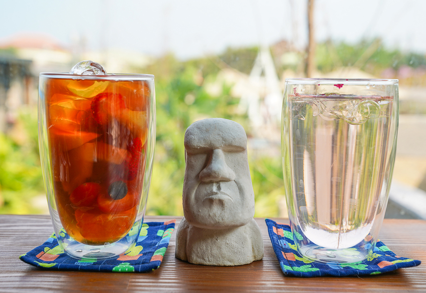 [高雄]肉肉栽培研究所-多肉植物主題景觀咖啡廳~跟摩艾一起嘟嘴賣萌 - 美食好芃友