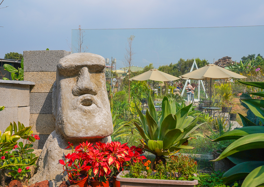 [高雄]肉肉栽培研究所-多肉植物主題景觀咖啡廳~跟摩艾一起嘟嘴賣萌 - 美食好芃友