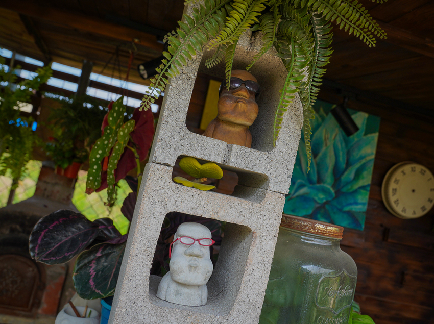 [高雄]肉肉栽培研究所-多肉植物主題景觀咖啡廳~跟摩艾一起嘟嘴賣萌 - 美食好芃友