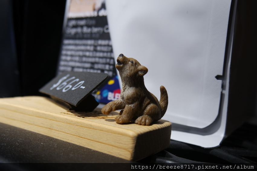 SAM_7593.JPG SAM_7593.JPG