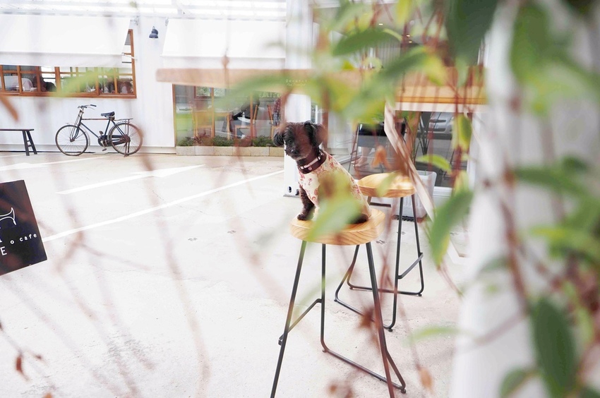 PICNIC_20200313_163940444.jpg PICNIC_20200313_163940444.jpg