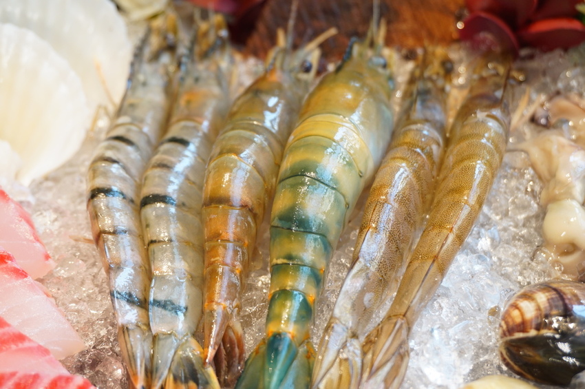 DSC07683.JPG DSC07683.JPG