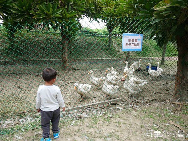 鵝童樂園18.JPG