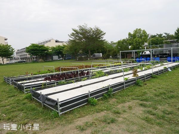 鵝童樂園7.JPG