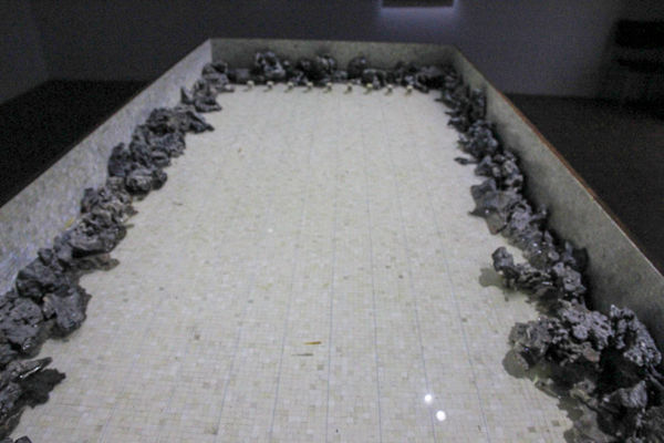 IMG_0022.jpg IMG_0022.jpg