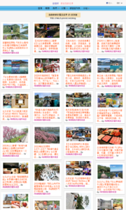 海綿飽飽的鳳梨城堡的旅遊牆