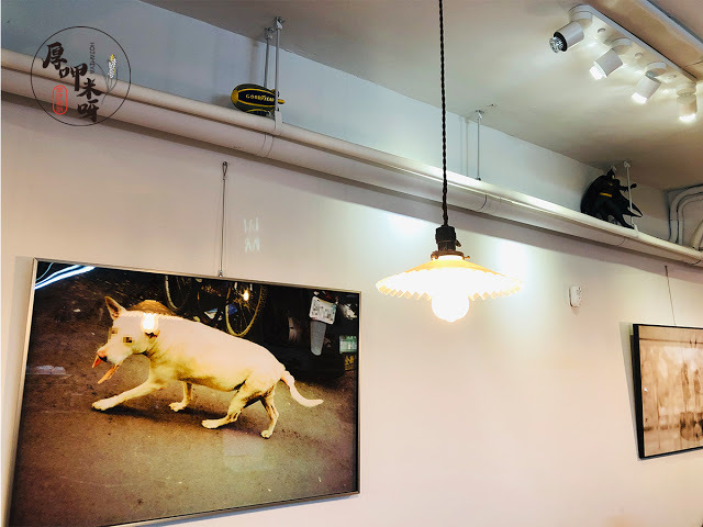 【厚呷米呀│新北板橋】咖啡調進所自家烘焙 (COFFEE COLLECTION) 秘巷咖啡不私藏/老闆功力獨到單品咖啡好喝/公園旁老房文青風另收藏多款老式相機/來這裡安靜地享受午後吧!