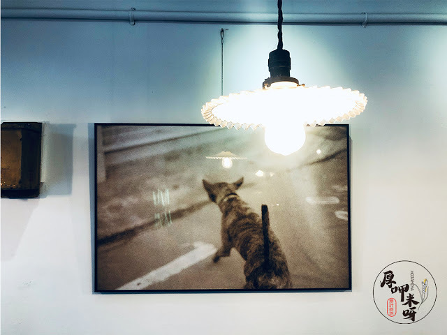 【厚呷米呀│新北板橋】咖啡調進所自家烘焙 (COFFEE COLLECTION) 秘巷咖啡不私藏/老闆功力獨到單品咖啡好喝/公園旁老房文青風另收藏多款老式相機/來這裡安靜地享受午後吧!