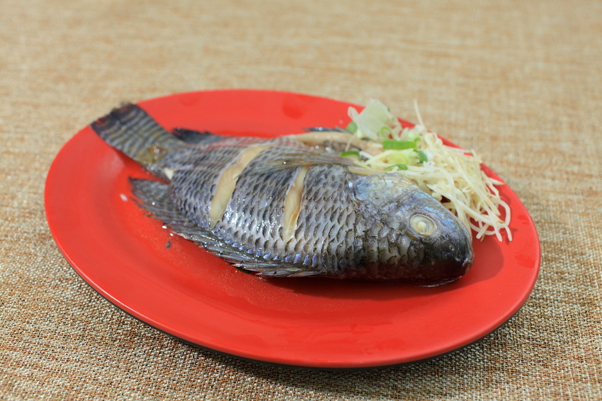 IMG_8162.jpg IMG_8162.jpg