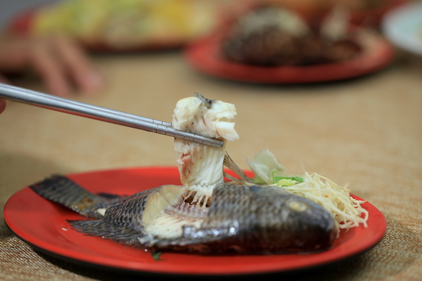 IMG_8187.jpg IMG_8187.jpg