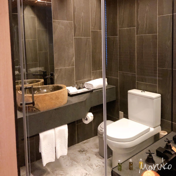 台北 < 甲山林湯旅 JSL hotel > 都市也能泡溫泉 ! 是滴你沒看錯 ~ 2020.02.05