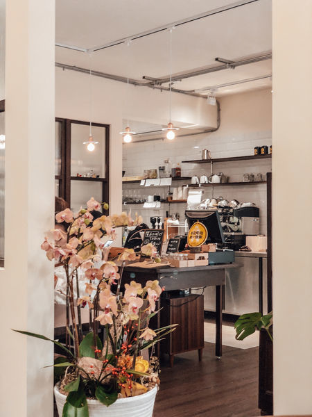 IMAI5155.JPG IMAI5155.JPG