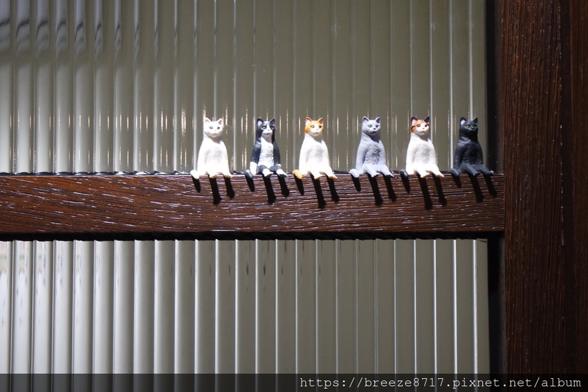 SAM_8085.jpg SAM_8085.jpg