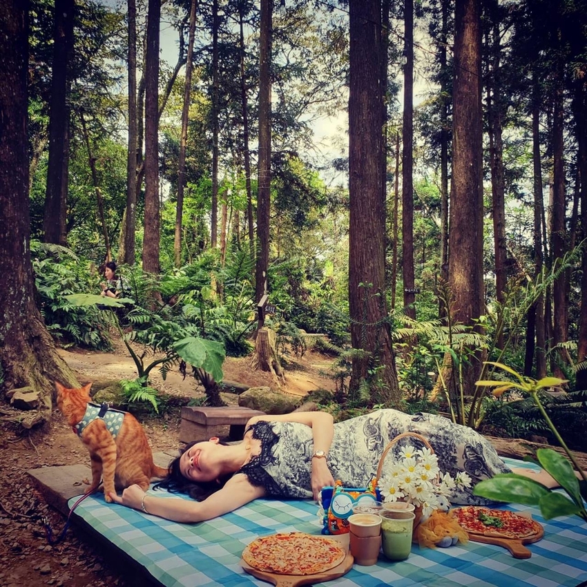 【新竹.北埔】森窯have a picnic。森林系野餐行程阿貓阿狗都可以帶去。各類窯烤比薩+咖啡