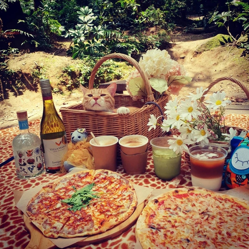 【新竹.北埔】森窯have a picnic。森林系野餐行程阿貓阿狗都可以帶去。各類窯烤比薩+咖啡