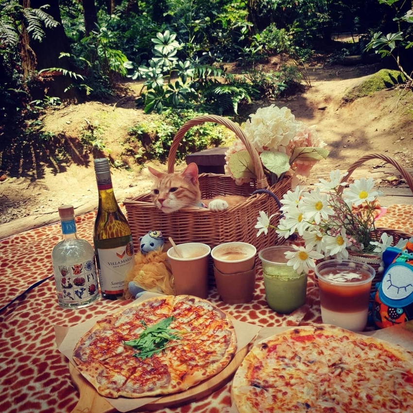 【新竹.北埔】森窯have a picnic。森林系野餐行程阿貓阿狗都可以帶去。各類窯烤比薩+咖啡