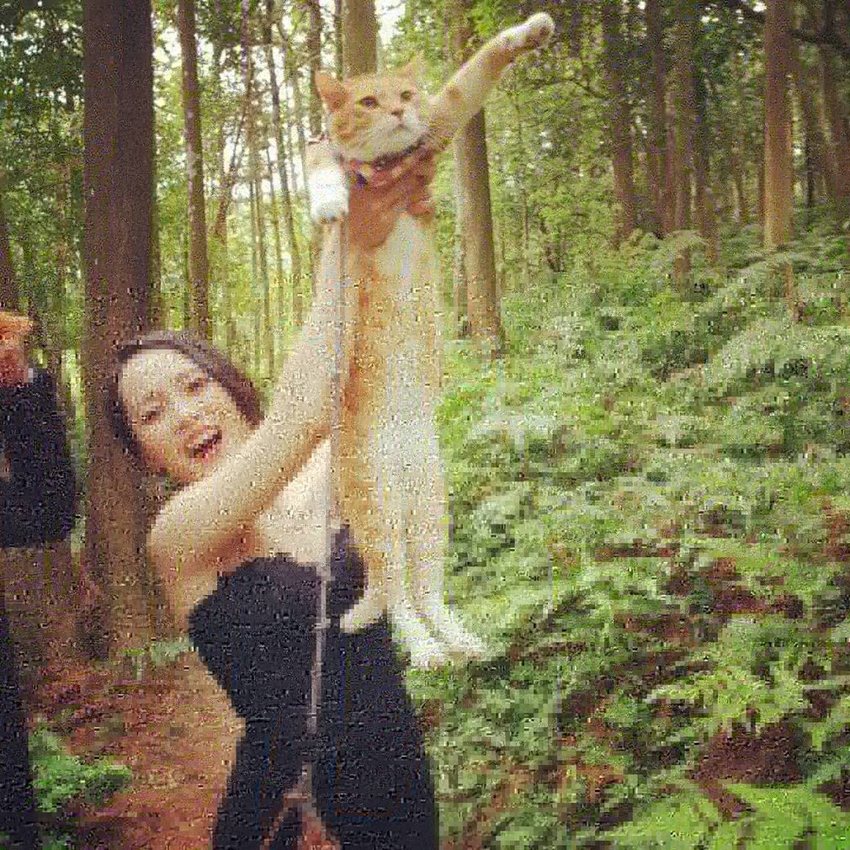 【新竹.北埔】森窯have a picnic。森林系野餐行程阿貓阿狗都可以帶去。各類窯烤比薩+咖啡