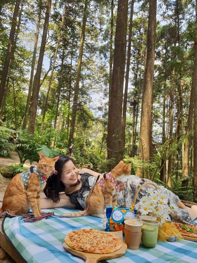 【新竹.北埔】森窯have a picnic。森林系野餐行程阿貓阿狗都可以帶去。各類窯烤比薩+咖啡
