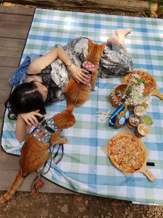 【新竹.北埔】森窯have a picnic。森林系野餐行程阿貓阿狗都可以帶去。各類窯烤比薩+咖啡