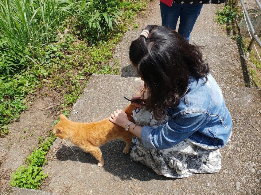 【新竹.北埔】森窯have a picnic。森林系野餐行程阿貓阿狗都可以帶去。各類窯烤比薩+咖啡