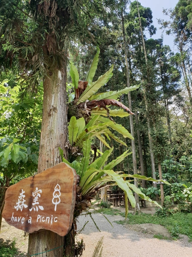 【新竹.北埔】森窯have a picnic。森林系野餐行程阿貓阿狗都可以帶去。各類窯烤比薩+咖啡